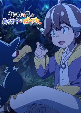 宝可梦  黑暗鸦与深夜的冒险封面图