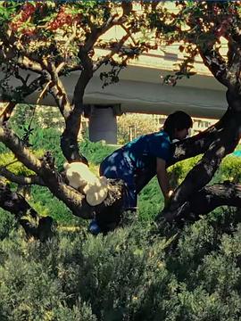 从未离去封面图