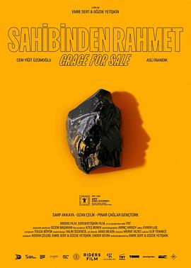 待价而沽的恩典封面图