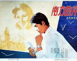 南方的岸封面图