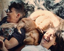 向光而行封面图