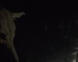 黑画悬帧封面图