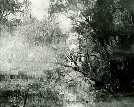 Images pour Debussy封面图