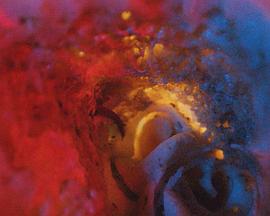 路易斯与语言封面图