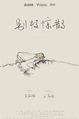 别枝惊鹊封面图