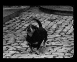 Examen d’entrée INSAS封面图