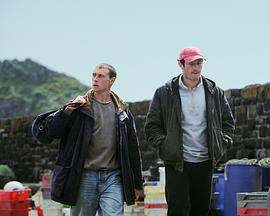 内华达之瑰封面图