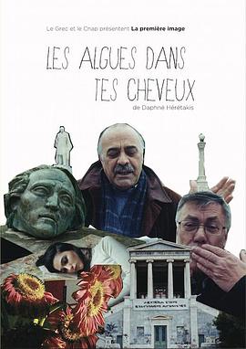 你发间的海藻封面图