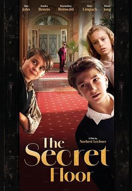 秘密楼层封面图