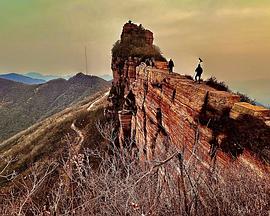 山里桃花开了封面图