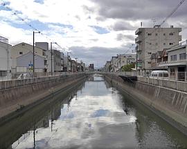 猪饲野故事封面图