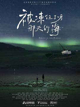 被冻住了呀，那天的海封面图