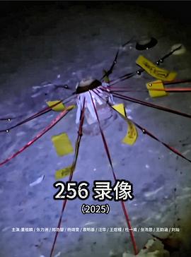 256 录像封面图