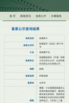 偷偷藏不住封面图