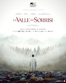 微笑的山谷封面图