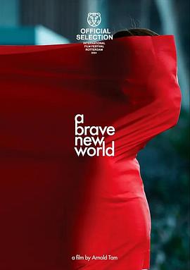A Brave New World封面图