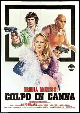 上膛之枪封面图