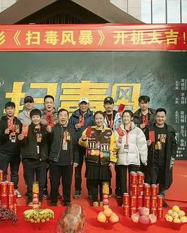 扫毒风暴封面图