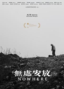 无处安放封面图