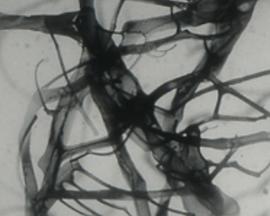 自动写作2封面图