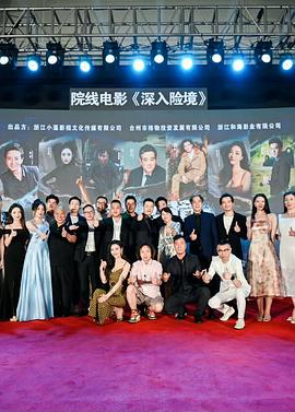 深入险境封面图
