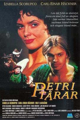 圣彼得之泪封面图