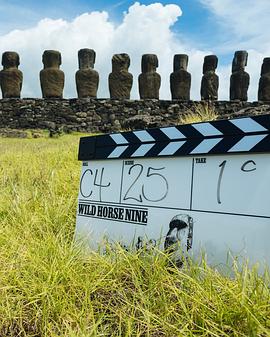 野马九号封面图