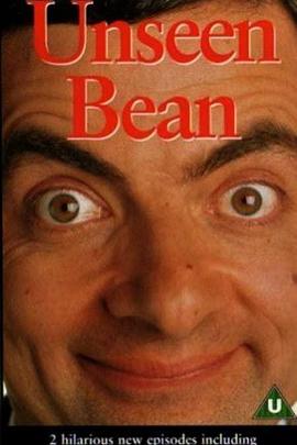 Unseen Bean封面图