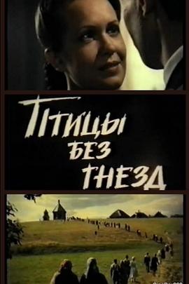 无巢之鸟封面图