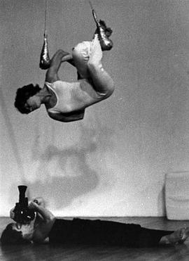 双重力量封面图