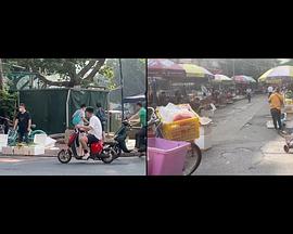 水马再见！封面图