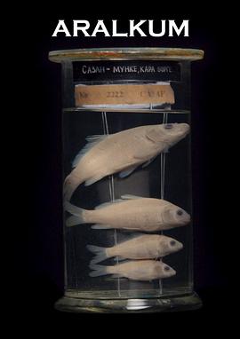 咸海沙漠封面图