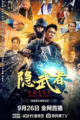 隐武者：大破青龙会封面图