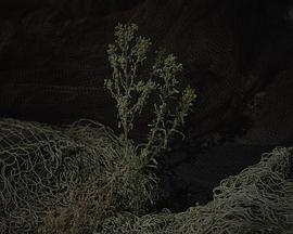 Todo lo cubre la sal封面图