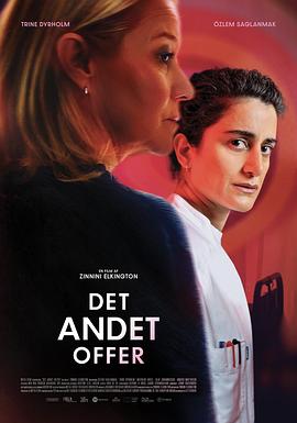 Det andet offer封面图