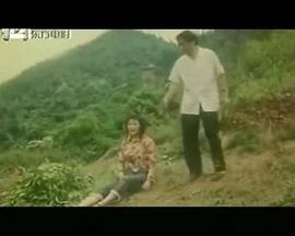 风流羊角镇封面图