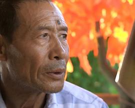 尘埃落定的土被扬起封面图