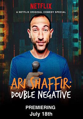 阿里·沙菲尔：双重否定封面图