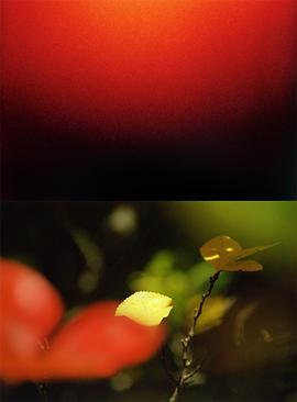 探知古老的地球封面图