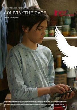 爸爸的空鸟笼封面图