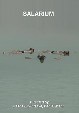 Salarium封面图