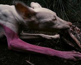 A Way in Untilled封面图