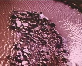 螺旋码头封面图