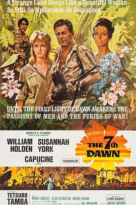 漫天风雨待黎明封面图