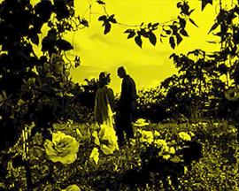 Nitrate: To the Ghosts of the 75 Lost Philippine Silent Film封面图