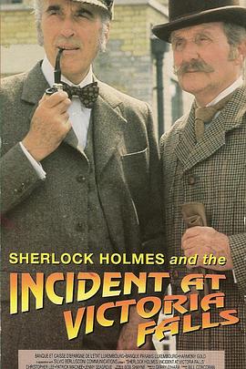 维多利亚瀑布事件封面图