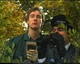 Valentine Park封面图