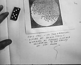 1971年7月身在洛杉矶，住在沙滩街，工作在坎杨戏院，游泳在月亮谷封面图