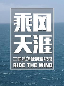 乘风天涯封面图