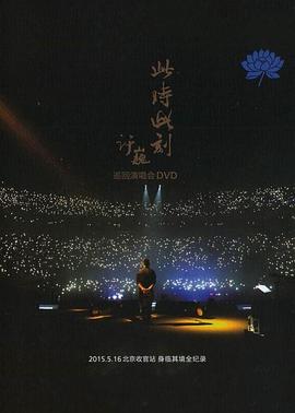 许巍此时此刻巡回演唱会封面图